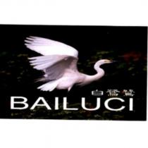 BAILUCI 白鷺鷥及圖