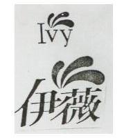 伊薇 IVY 及圖