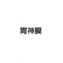 胃神膜