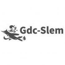 Gdc-Slem & Device