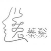 蓁髮及圖