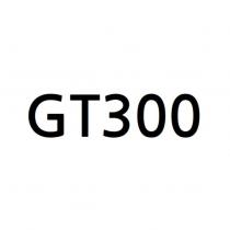 GT300