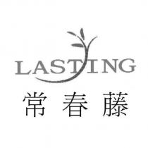 常春藤 LASTING 及圖