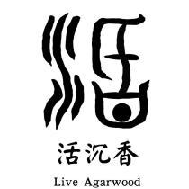 活沉香 Live Agarwood 及活設計字