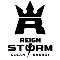 R REIGN STORM CLEAN ENERGY and crown design