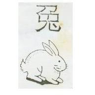 兔及圖