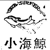 小海鯨及圖