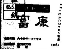 富康 RUBICON 