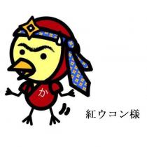 紅ウコン様及圖