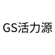 GS 活力源