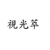 視光萃