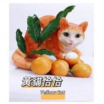 黃貓恰恰 Yellow Cat 及圖