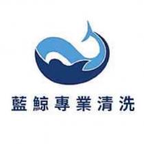 藍鯨專業清洗