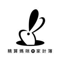 精算媽咪的家計簿及圖