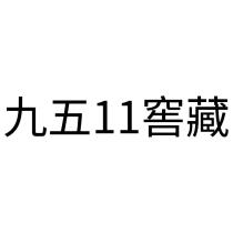 九五 11 窖藏