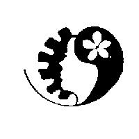 甜妞設計圖