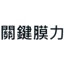 關鍵膜力