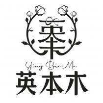 英本木 Ying Ben Mu 及圖