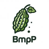 BmpP 及圖