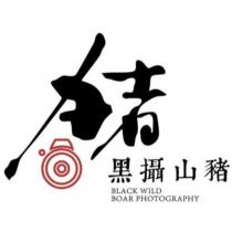 黑攝山豬 豬 BLACK WILD BOAR PHOTOGRAPHY 及圖