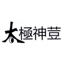 太極神荳及圖