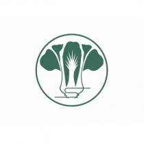 白菜設計圖