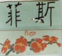 菲斯 FLASH 及圖