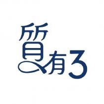 質有 3 設計字