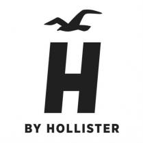 H BY HOLLISTER and Device