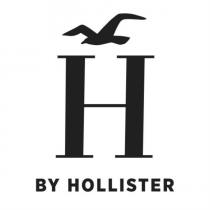 H BY HOLLISTER and Device