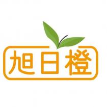 旭日橙及圖
