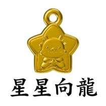 星星向龍及圖