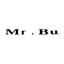 Mr. Bu