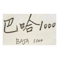 巴哈 1000BAJA 1000