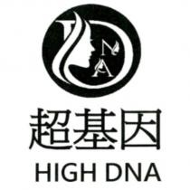 超基因及圖形 HIGH DNA