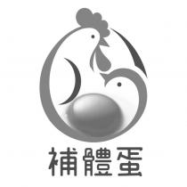 補體蛋及圖