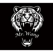 Mr.Wang