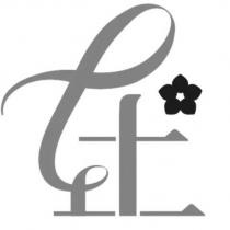 在設計字