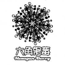 六角果莓 Hexagon Berry 及圖