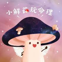 小鮮菇玩命理及圖