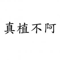 真植不阿