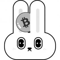 兔子設計圖