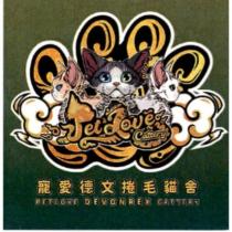 寵愛德文捲毛貓舍 PETLOVE DEVONREX CATTERY 及圖