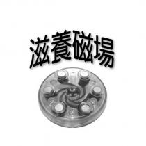 滋養磁場及圖