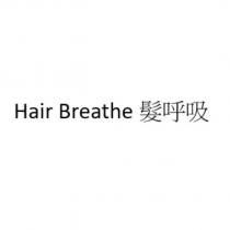 Hair Breathe 髮呼吸