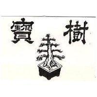 寶樹及圖