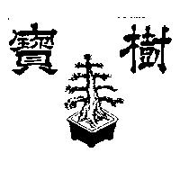 寶樹及圖