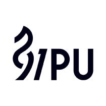 91PU 設計字