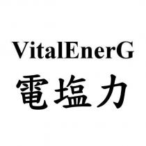 VitalEnerG 電塩力