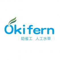 Okifern 助省工 人工水草及圖
